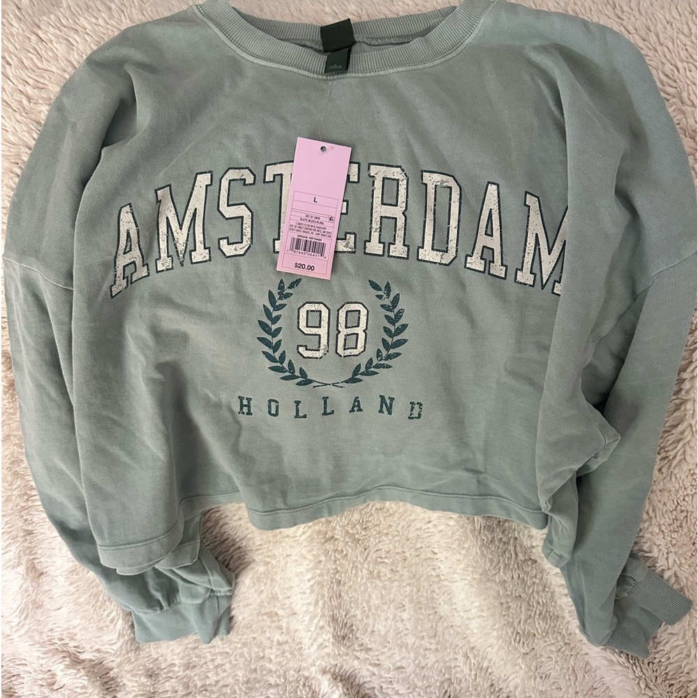 Wild fable crop sweater